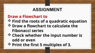 Software Development Technique (Flowchart & Documentation).pptx