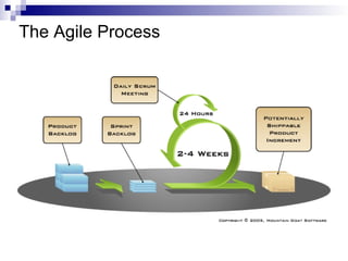 The Agile Process 