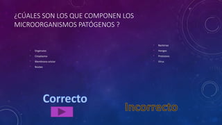 ¿CÚALES SON LOS QUE COMPONEN LOS
MICROORGANISMOS PATÓGENOS ?
• Orgánulos
• Citoplasma
• Membrana celular
• Núcleo
• Bacterias
• Hongos
• Protozoos
• Virus
 