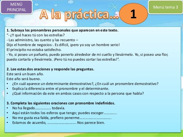 Como Se Escribe Software En Plural