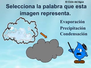 Selecciona la palabra que esta
imagen representa.
El Ciclo del Agua
Evaporación
Precipitación
Condensación
 