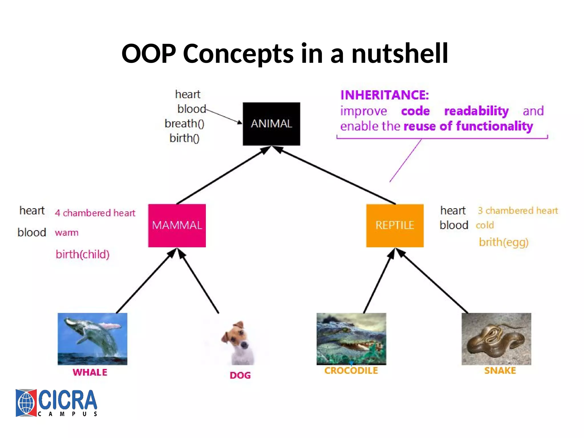 OOP Concepts in a nutshell
 