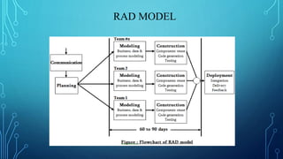 RAD MODEL
 