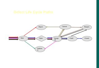 Defect Life Cycle Paths
 