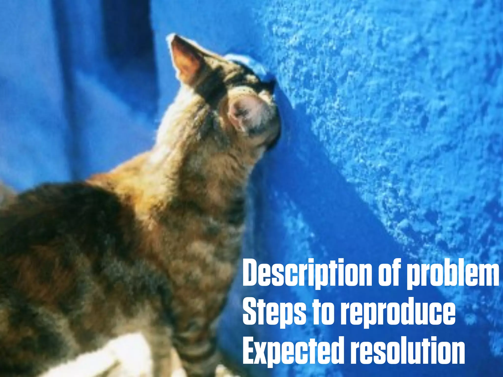 Description of problem
Steps to reproduce
Expected resolution
 