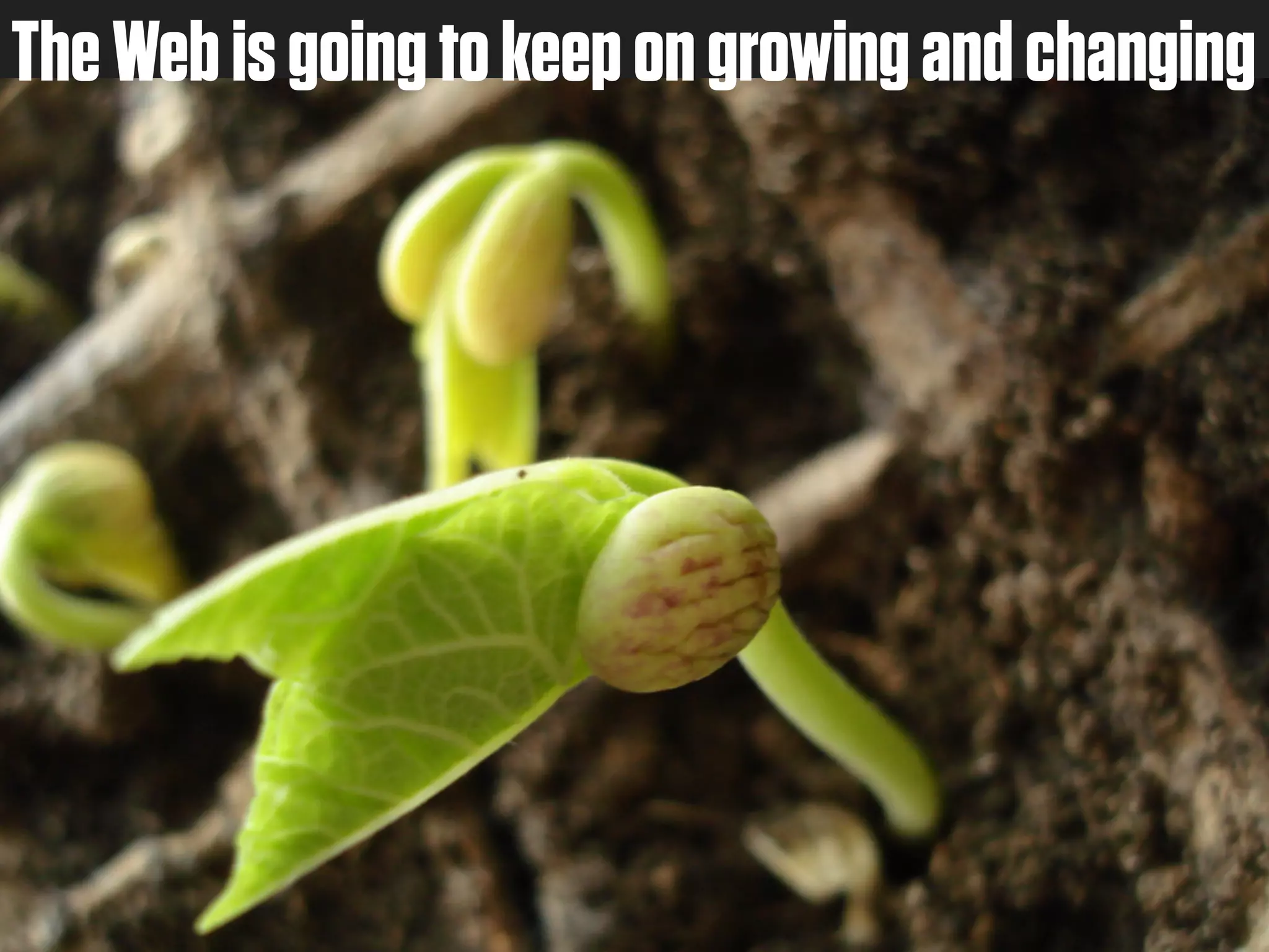 The Web is going to keep on growing and changing
 