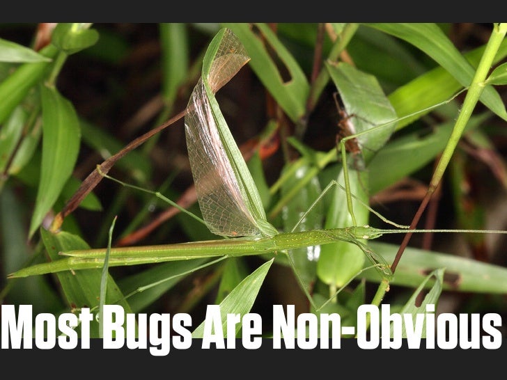 Software Entomology or Where Do Bugs Come From?