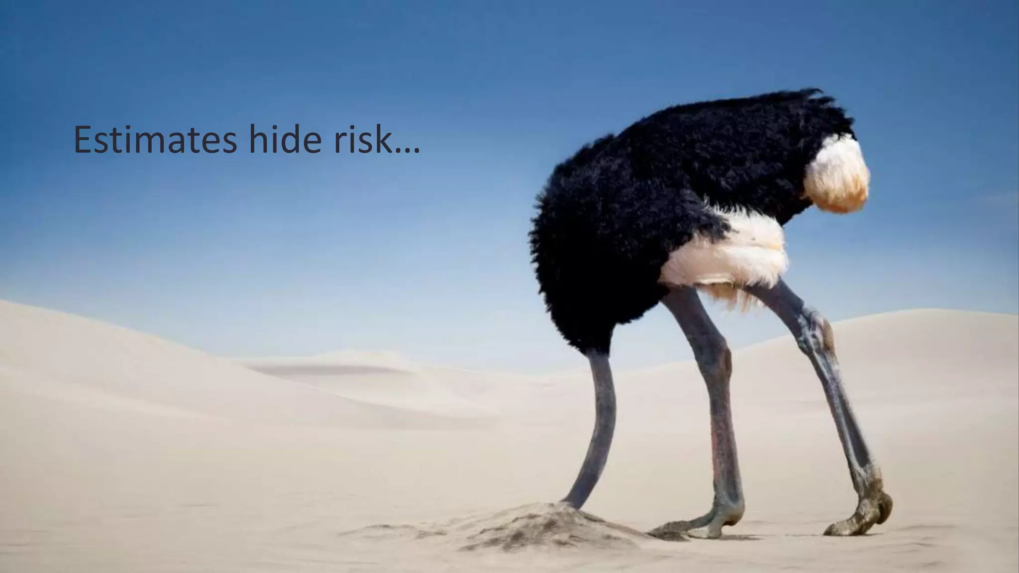 Estimates hide risk…
 