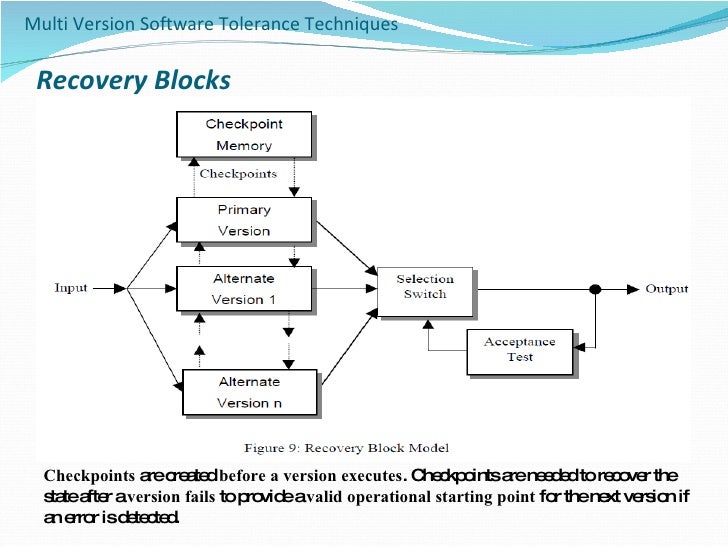 Software Fault Tolerance