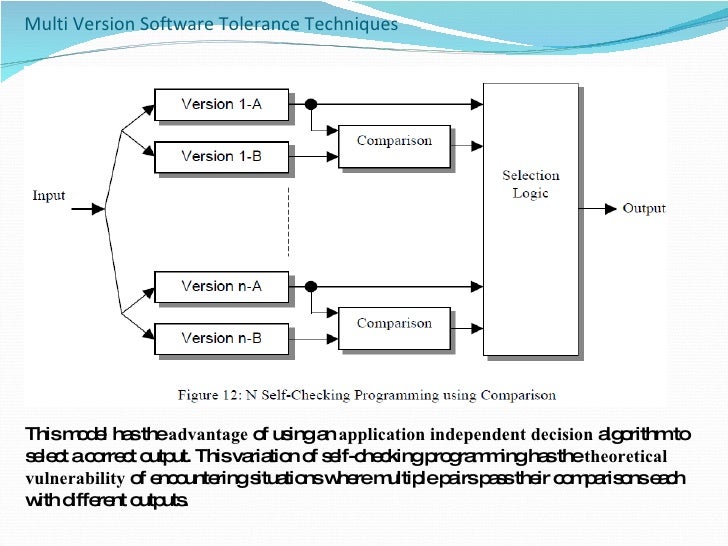 Software Fault Tolerance