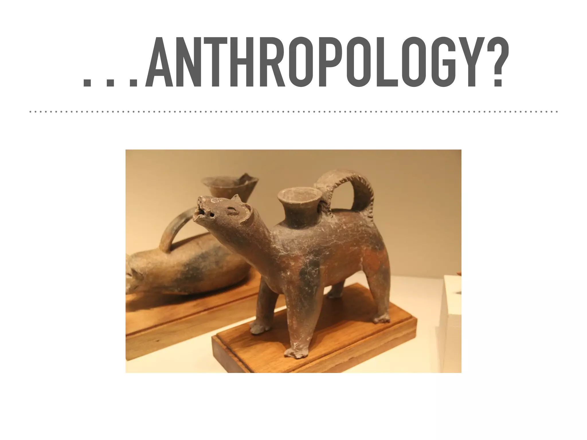 …ANTHROPOLOGY?
 
