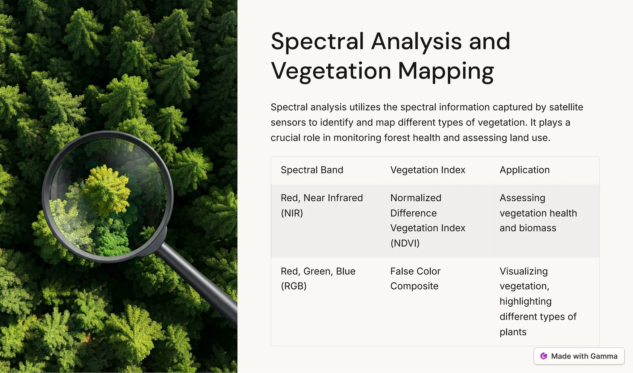Spectral Analysis and
Vegetation Mapping
Spectral analysis utilizes the spectral information captured by satellite
sensors to identify and map different types of vegetation. It plays a
crucial role in monitoring forest health and assessing land use.
Spectral Band Vegetation Index Application
Red, Near Infrared
(NIR)
Normalized
Difference
Vegetation Index
(NDVI)
Assessing
vegetation health
and biomass
Red, Green, Blue
(RGB)
False Color
Composite
Visualizing
vegetation,
highlighting
different types of
plants
 