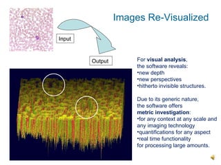 Output For  visual analysis ,  the software reveals: new depth new perspectives hitherto invisible structures. Due to its generic nature,  the software offers  metric investigation : for any context at any scale and any imaging technology quantifications for any aspect real time functionality  for processing large amounts. Input Images Re-Visualized 