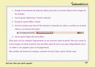 • Escoge la herramienta de selección difusa y haz clic en el sector blanco de la imagen de
los anteojos.
1. Usa la opción Seleccionar / Invertir selección
2. Escoge la opción Editar / Copiar
3. Activa la ventana que tiene la foto del perro, haciendo clic sobre su nombre en el panel
inferior o en la barra de tareas:
4. Usa la opción Pegar del menú Editar.
¿Qué pasó con los anteojos? Seguramente se ven enormes sobre el perrito. Pero por suerte, la
nueva Imagen no borró al perrito sino que flota sobre él como una capa independiente (como
un sticker o una pegatina, pero sin el pegamento).
Para cambiar de tamaño los anteojos, usaremos el menú Capa, opción Escalar capa.
52
 