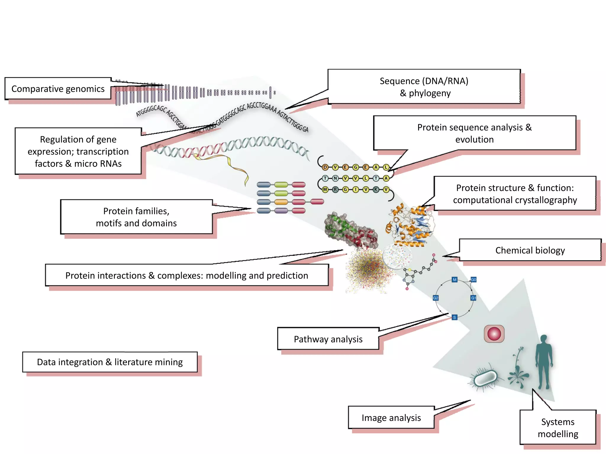 Free software and bioinformatics