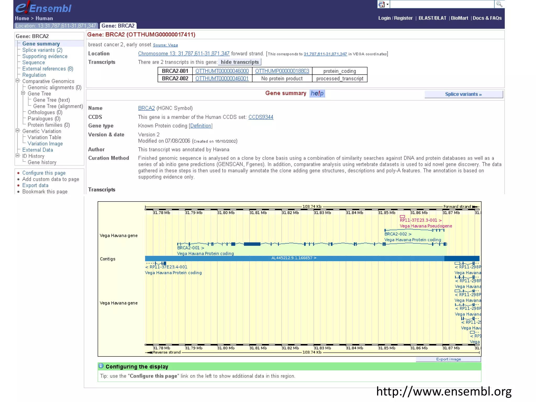 Free software and bioinformatics
