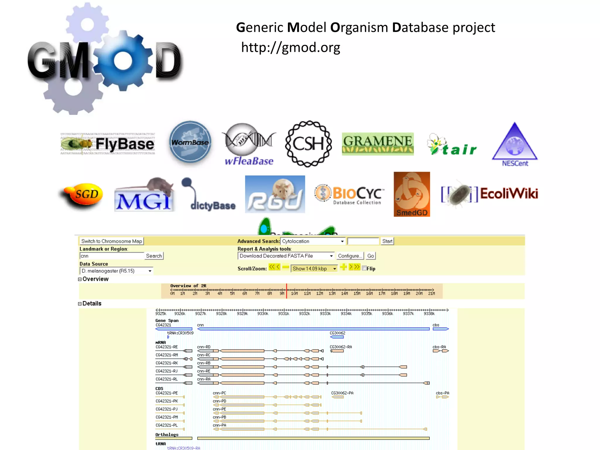 Free software and bioinformatics