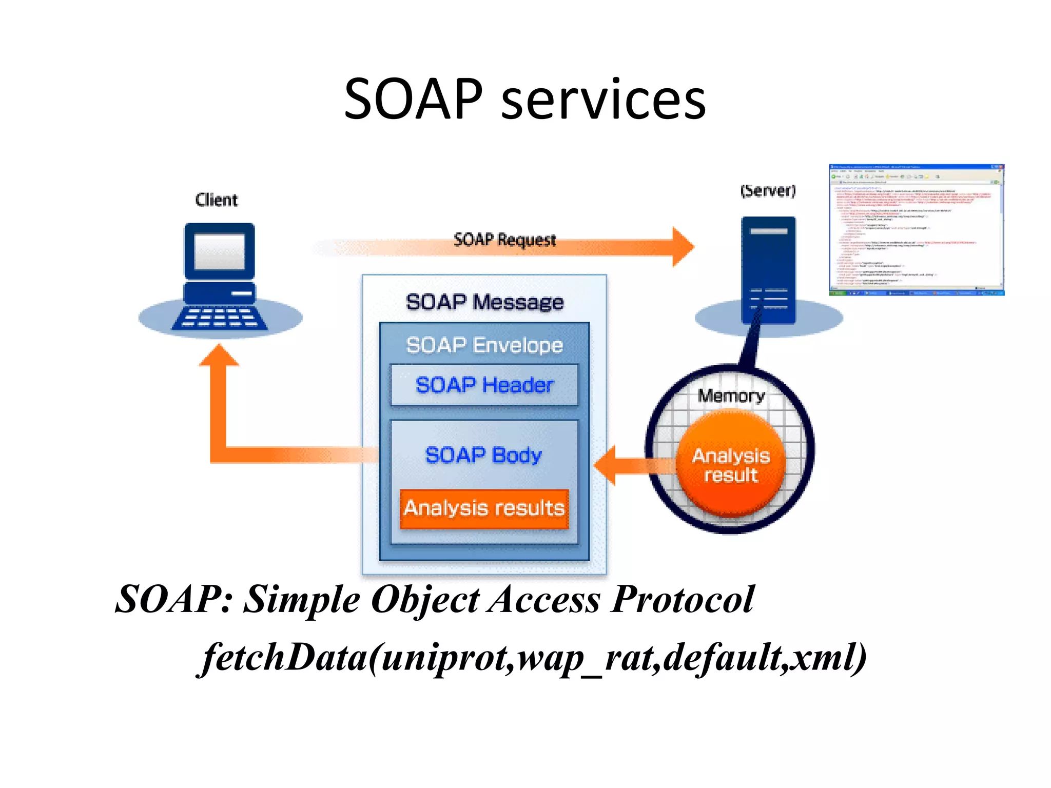 Free software and bioinformatics