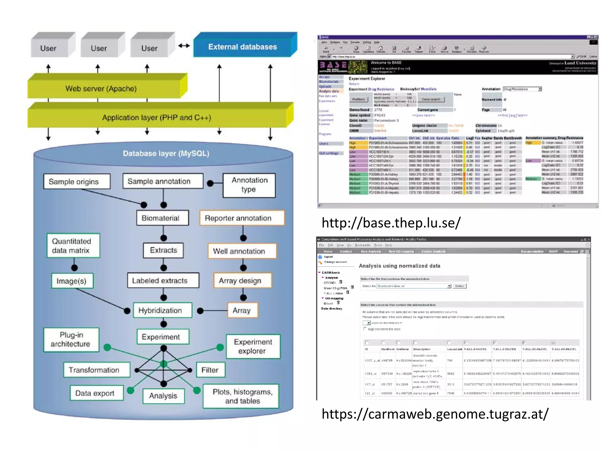 Free software and bioinformatics