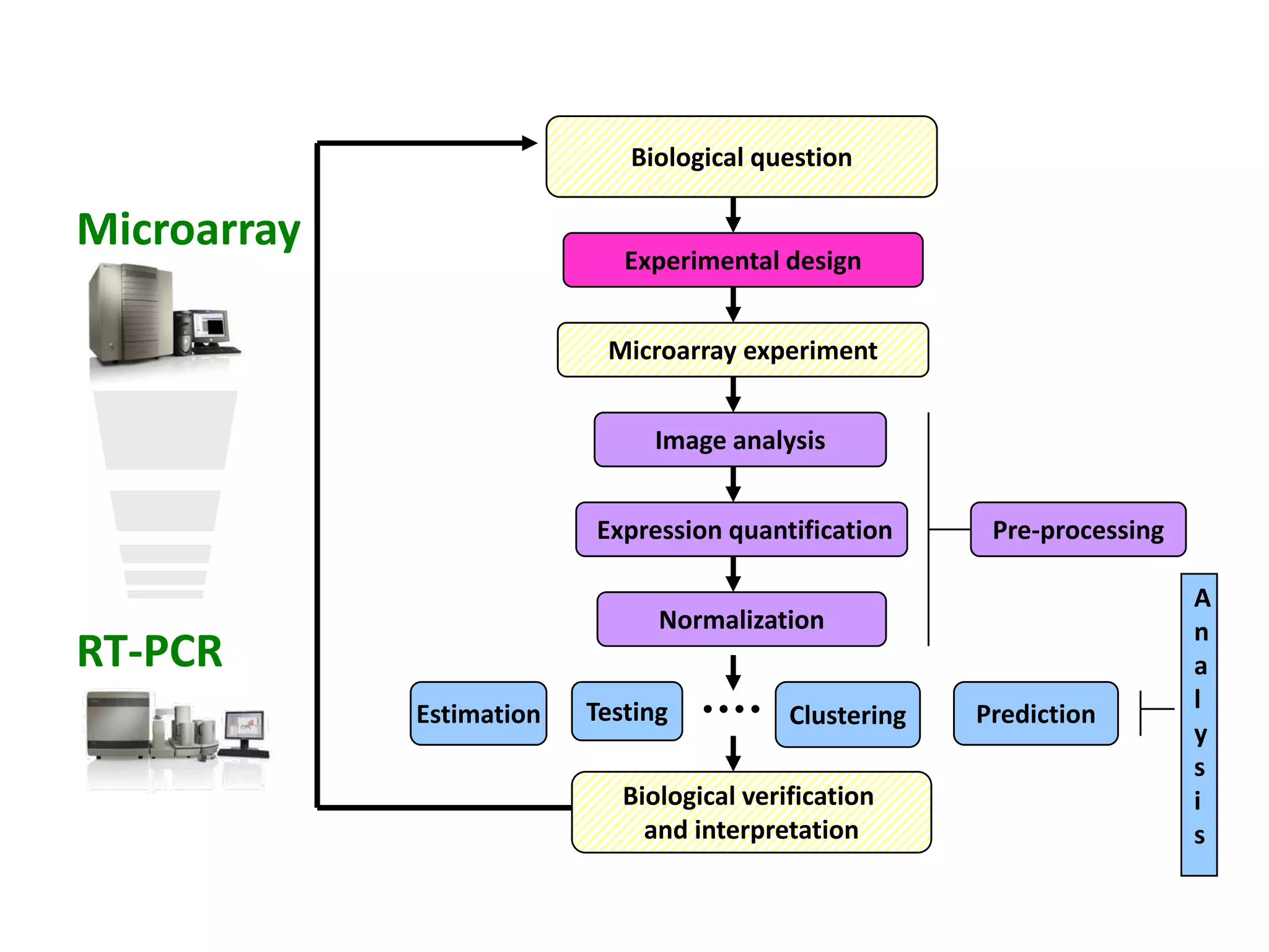 Free software and bioinformatics