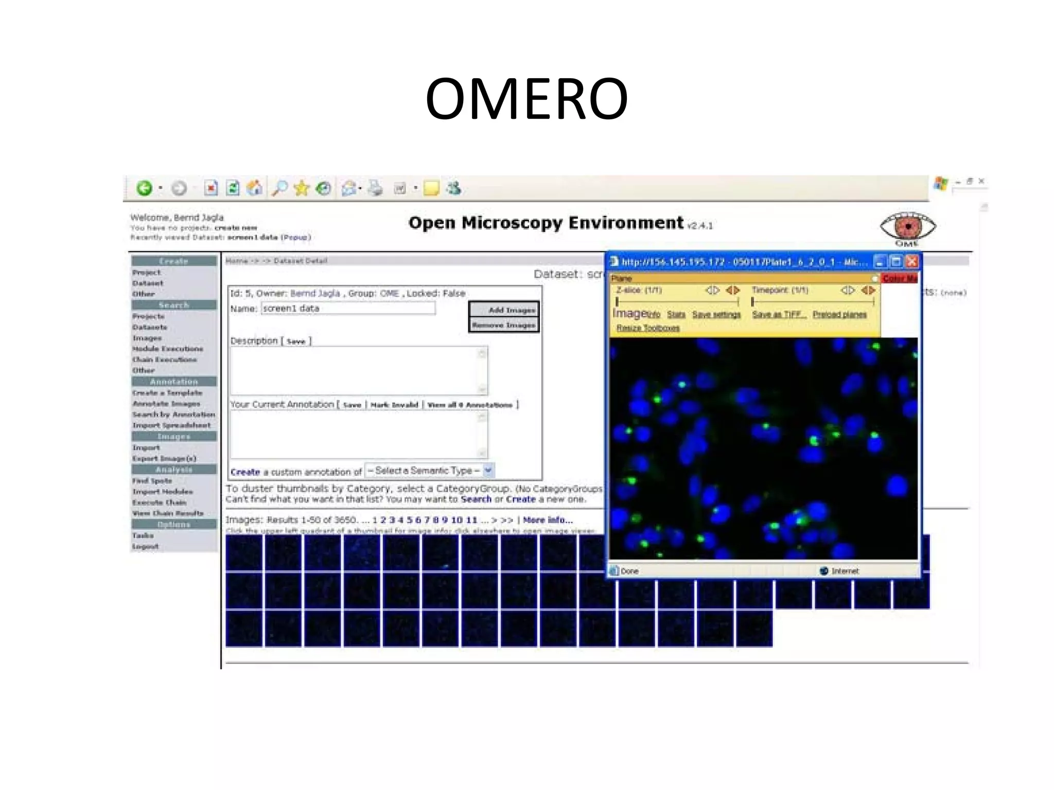 Free software and bioinformatics