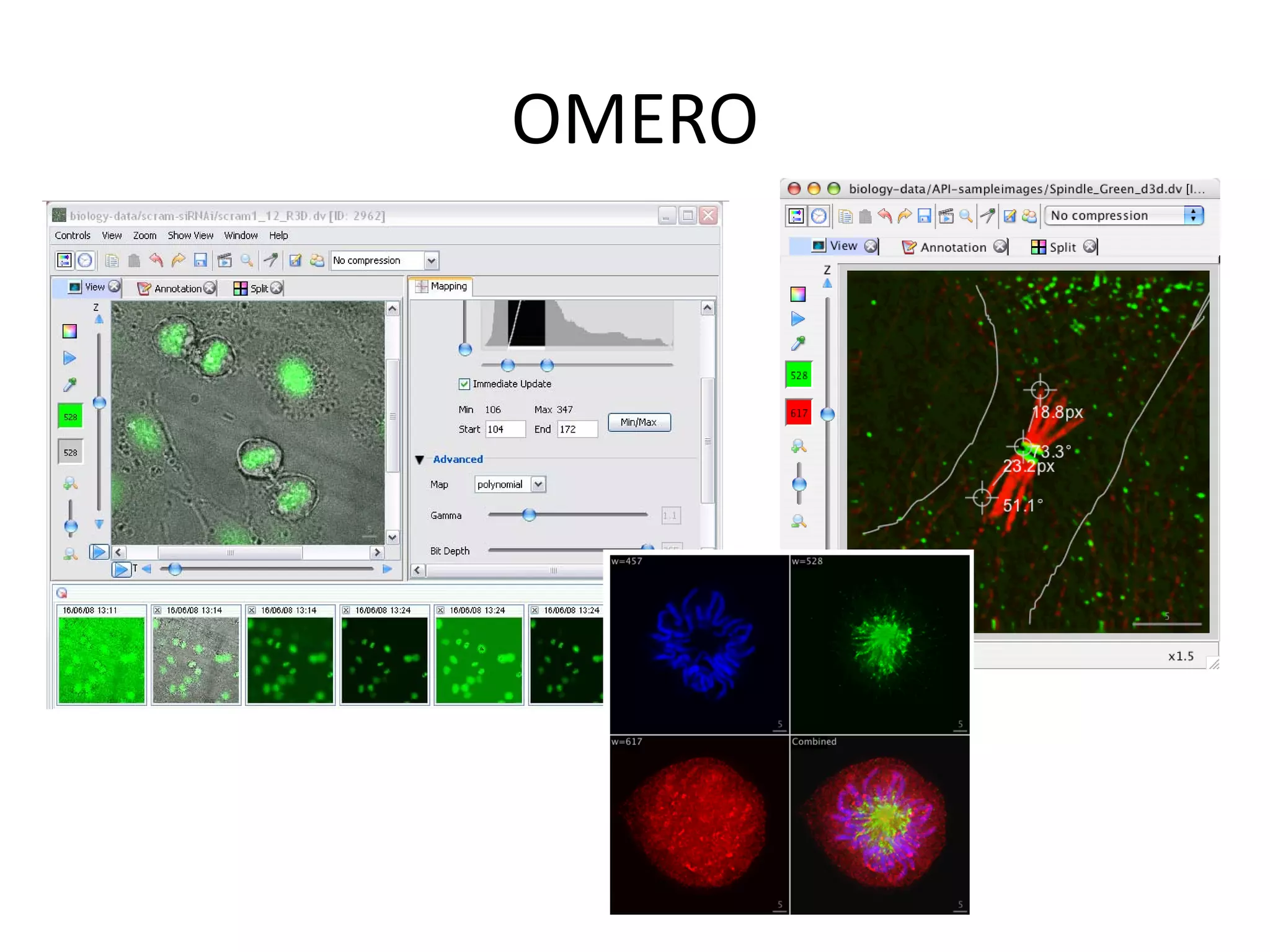 Free software and bioinformatics