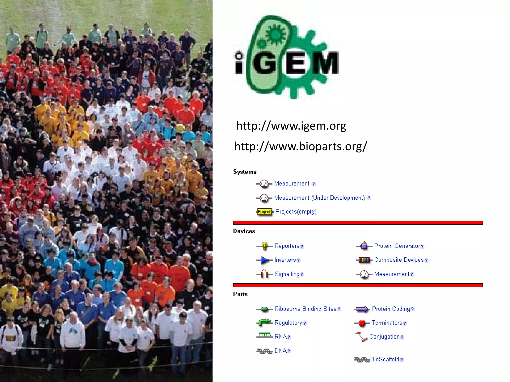 Free software and bioinformatics