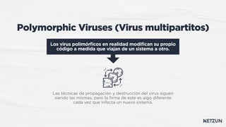 Comprehensive Overview of Computer Viruses: Types, Characteristics, and ...