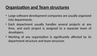 Comprehensive Overview of Software Engineering Teams and Organizational ...