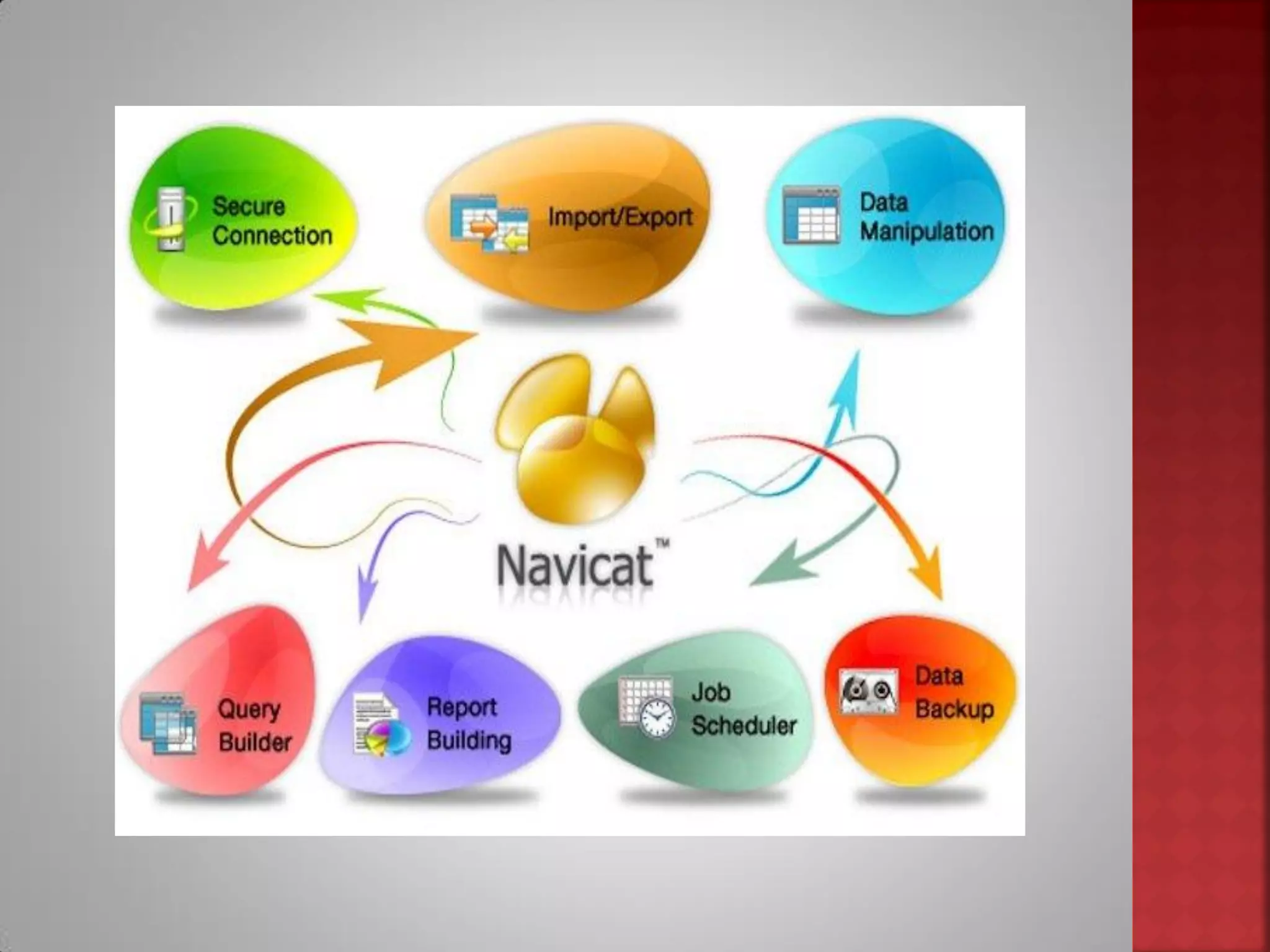 Software para base de datos
