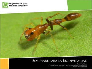 Presentación libro de marca OET 2009 Software para la Biodiversidad Pablo Aviles Desarrollo de Software y Bases de Datospara la Biodiversidad Manejo de Información 