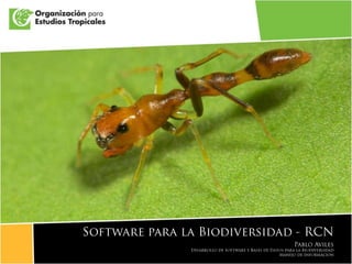 Presentación libro de marca OET 2009 Software para la Biodiversidad - RCN Pablo Aviles Desarrollo de Software y Bases de Datospara la Biodiversidad Manejo de Información 