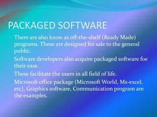 Packaged Software Definition Software Presentation | PPTX