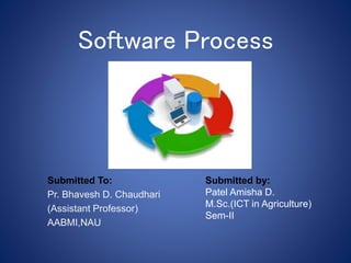 Software Process
Submitted To:
Pr. Bhavesh D. Chaudhari
(Assistant Professor)
AABMI,NAU
Submitted by:
Patel Amisha D.
M.Sc.(ICT in Agriculture)
Sem-II
 