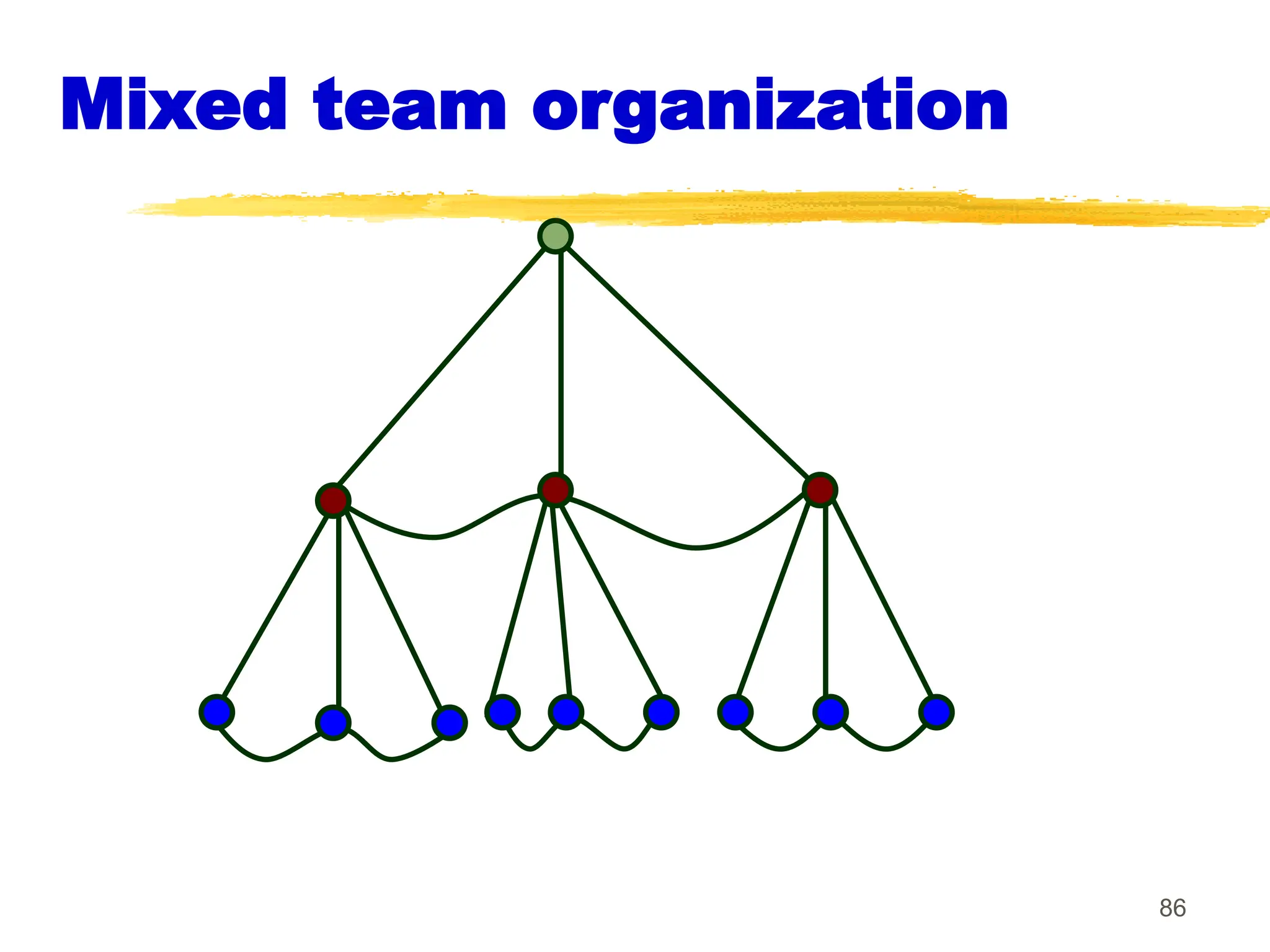 86
Mixed team organization
 