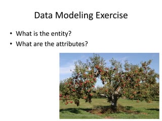 Data Modeling Exercise
• What is the entity?
• What are the attributes?
Prepared by Dr.T.Thendral 08.07.23
 