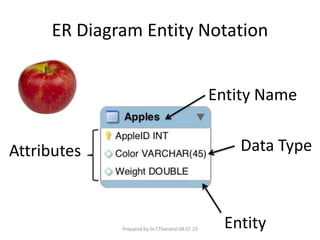 ER Diagram Entity Notation
Attributes
Entity
Entity Name
Data Type
Prepared by Dr.T.Thendral 08.07.23
 