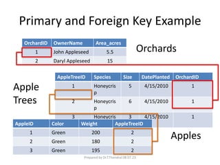 Primary and Foreign Key Example
OrchardID OwnerName Area_acres
1 John Appleseed 5.5
2 Daryl Appleseed 15
AppleTreeID Species Size DatePlanted OrchardID
1 Honeycris
p
5 4/15/2010 1
2 Honeycris
p
6 4/15/2010 1
3 Honeycris
p
3 4/15/2010 1
AppleID Color Weight AppleTreeID
1 Green 200 2
2 Green 180 2
3 Green 195 2
Orchards
Apple
Trees
Apples
Prepared by Dr.T.Thendral 08.07.23
 