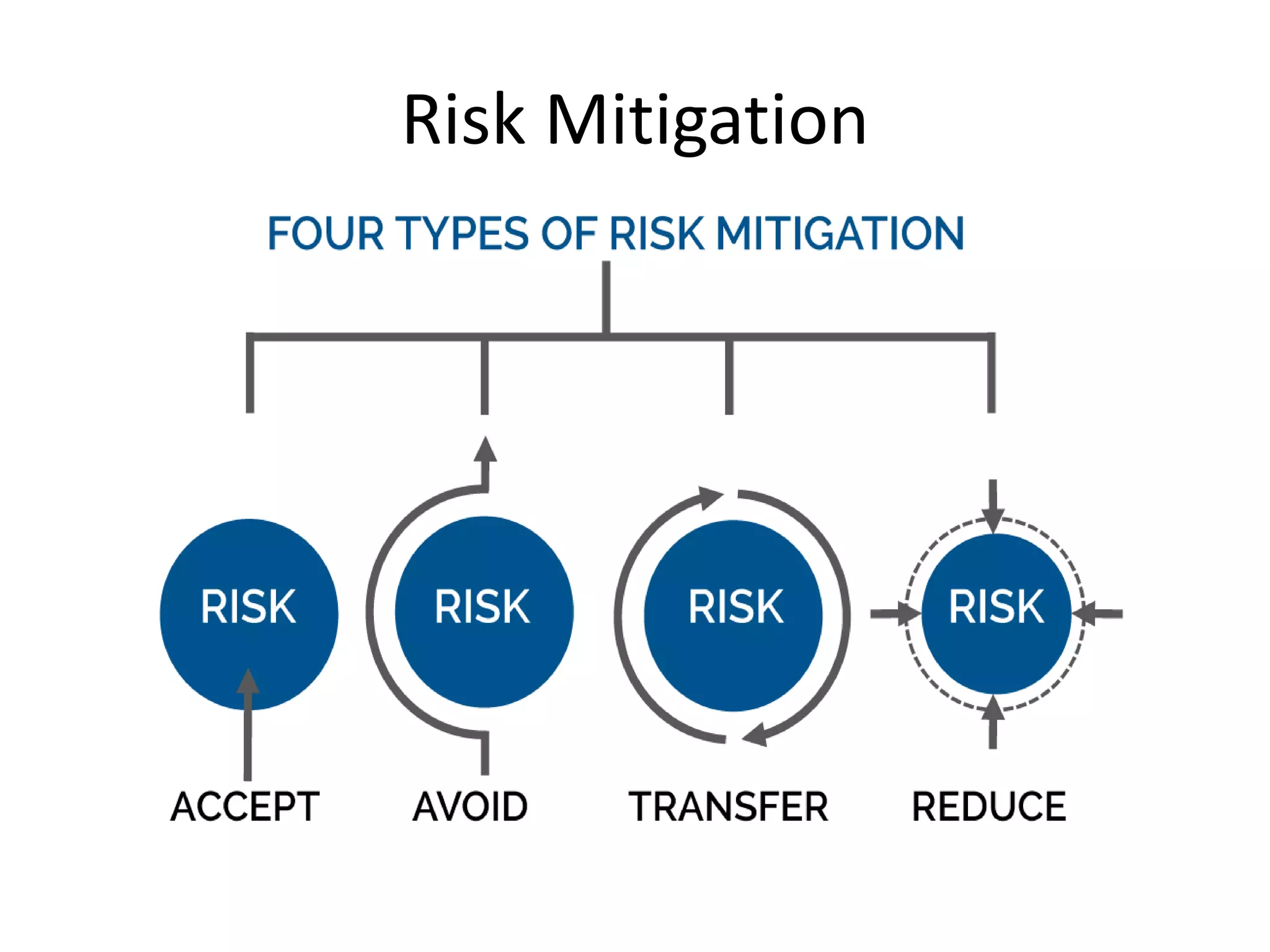 Risk Mitigation
 