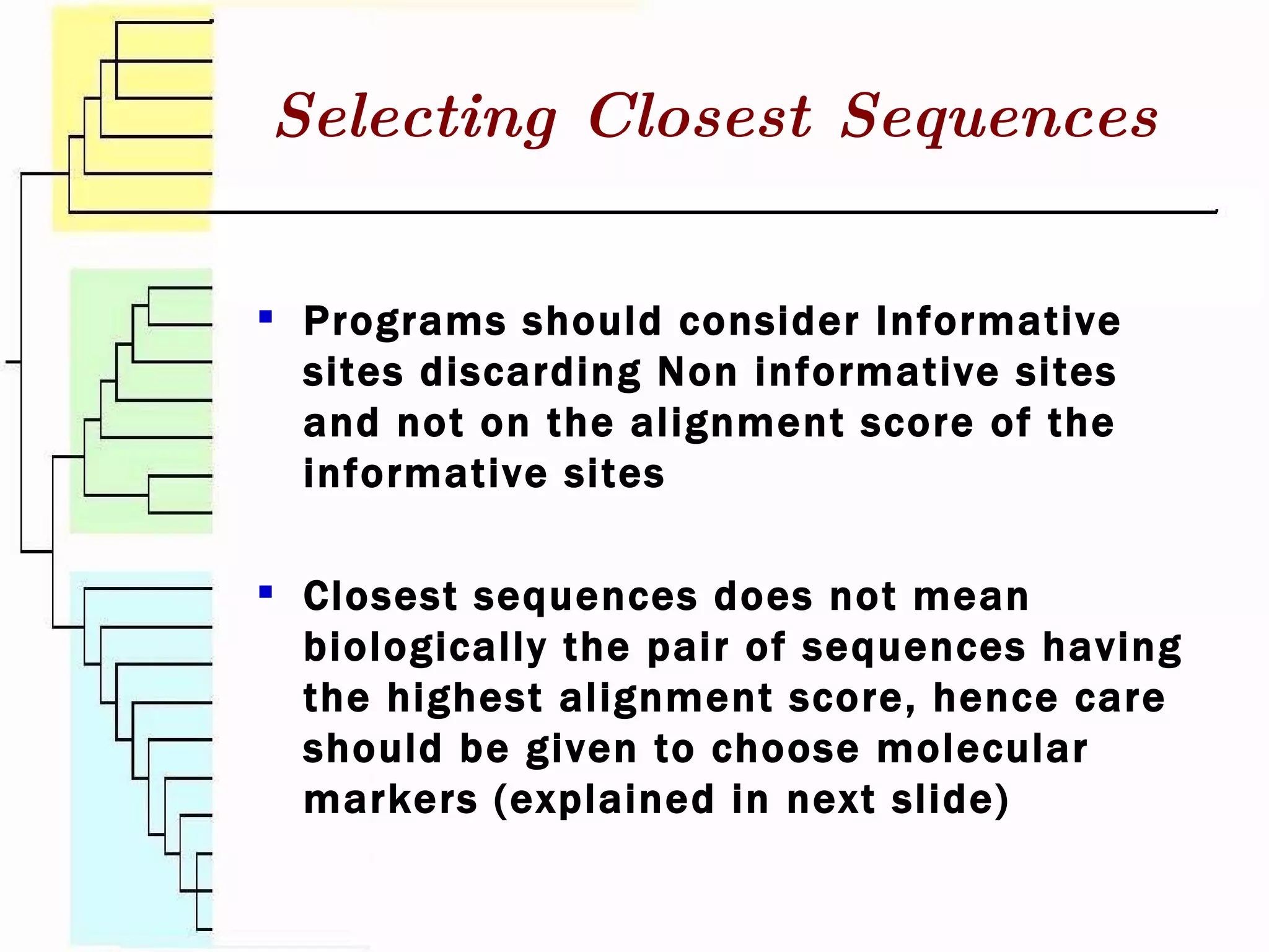 Programs should consider Informative sites discarding Non informative sites and not on the alignment score of the informative sites Closest sequences does not mean biologically the pair of sequences having the highest alignment score, hence care should be given to choose molecular markers (explained in next slide) Selecting Closest Sequences 