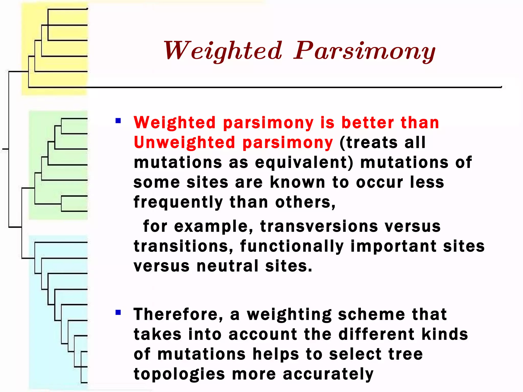 Weighted Parsimony Weighted parsimony is better than Unweighted parsimony  (treats all mutations as equivalent) mutations of some sites are known to occur less frequently than others, for example, transversions versus transitions, functionally important sites versus neutral sites. Therefore, a weighting scheme that takes into account the different kinds of mutations helps to select tree topologies more accurately 
