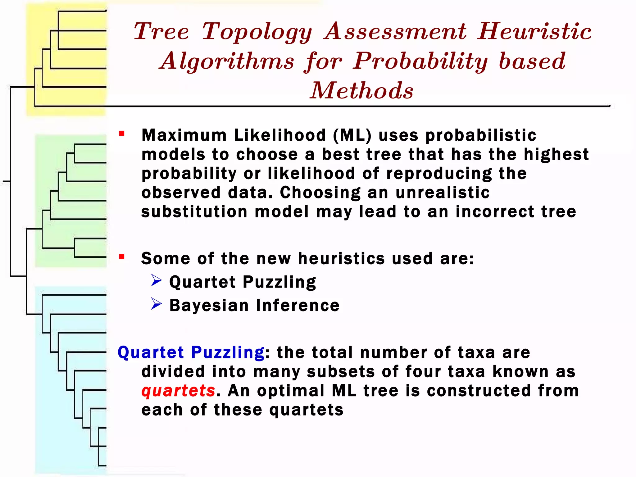 Tree Topology Assessment Heuristic Algorithms for Probability based Methods Maximum Likelihood (ML) uses probabilistic models to choose a best tree that has the highest probability or likelihood of reproducing the observed data. Choosing an unrealistic substitution model may lead to an incorrect tree Some of the new heuristics used are: Quartet Puzzling Bayesian Inference Quartet Puzzling : the total number of taxa are divided into many subsets of four taxa known as  quartets . An optimal ML tree is constructed from each of these quartets 