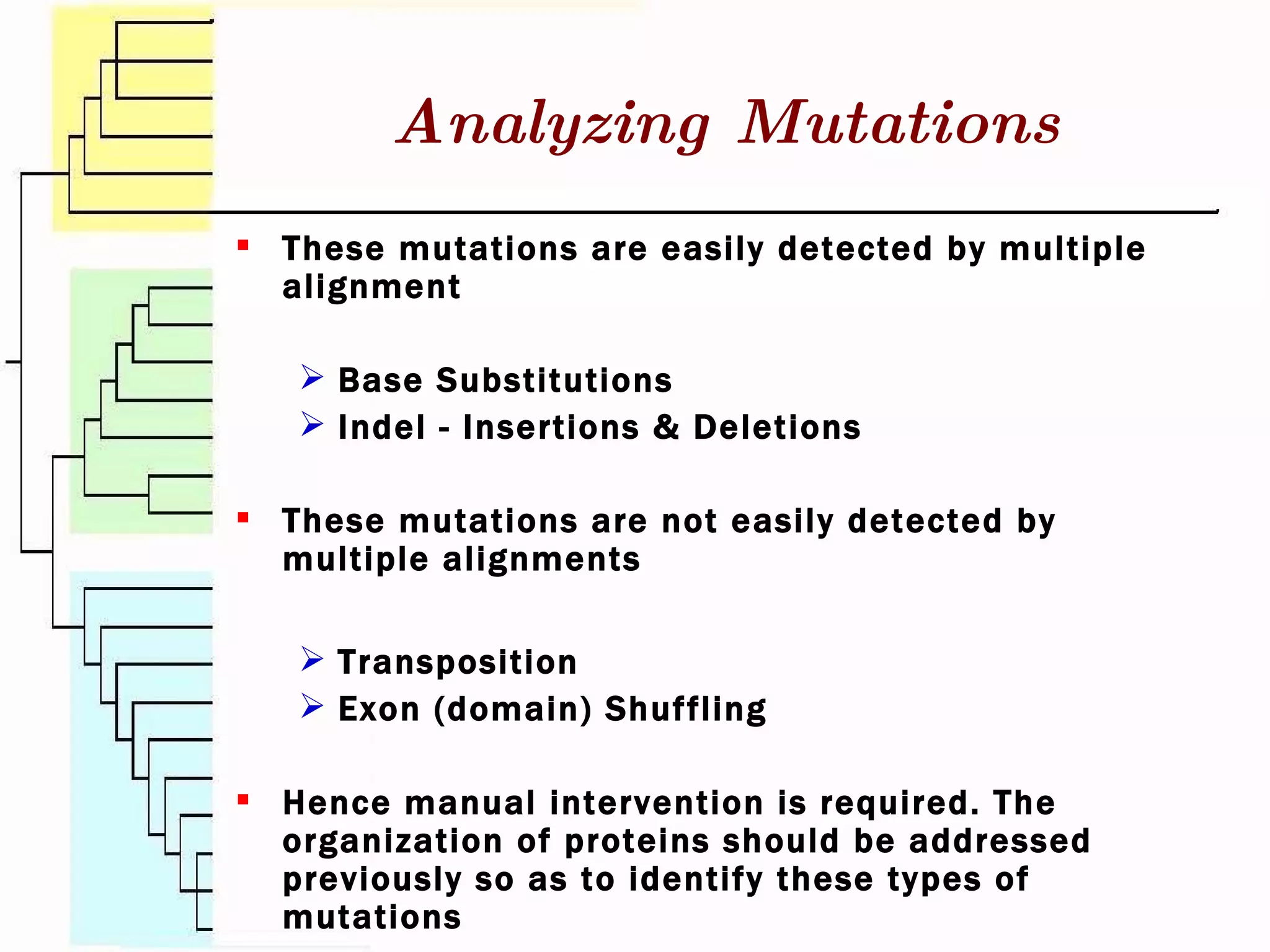 Analyzing Mutations These mutations are easily detected by multiple alignment Base Substitutions Indel - Insertions & Deletions These mutations are not easily detected by multiple alignments Transposition Exon (domain) Shuffling Hence manual intervention is required. The organization of proteins should be addressed previously so as to identify these types of mutations 