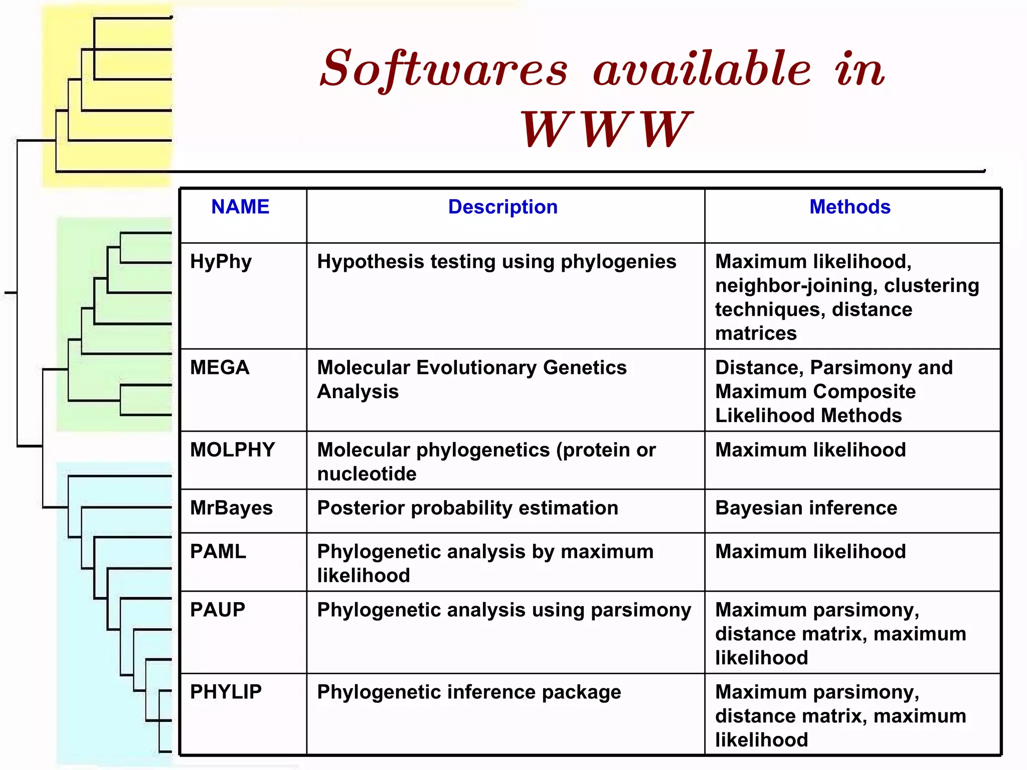 Softwares available in WWW NAME  Description  Methods  HyPhy  Hypothesis testing using phylogenies  Maximum likelihood, neighbor-joining, clustering techniques, distance matrices  MEGA  Molecular Evolutionary Genetics Analysis  Distance, Parsimony and Maximum Composite Likelihood Methods  MOLPHY  Molecular phylogenetics (protein or nucleotide  Maximum likelihood  MrBayes  Posterior probability estimation  Bayesian inference  PAML  Phylogenetic analysis by maximum likelihood  Maximum likelihood  PAUP  Phylogenetic analysis using parsimony  Maximum parsimony, distance matrix, maximum likelihood  PHYLIP  Phylogenetic inference package  Maximum parsimony, distance matrix, maximum likelihood  