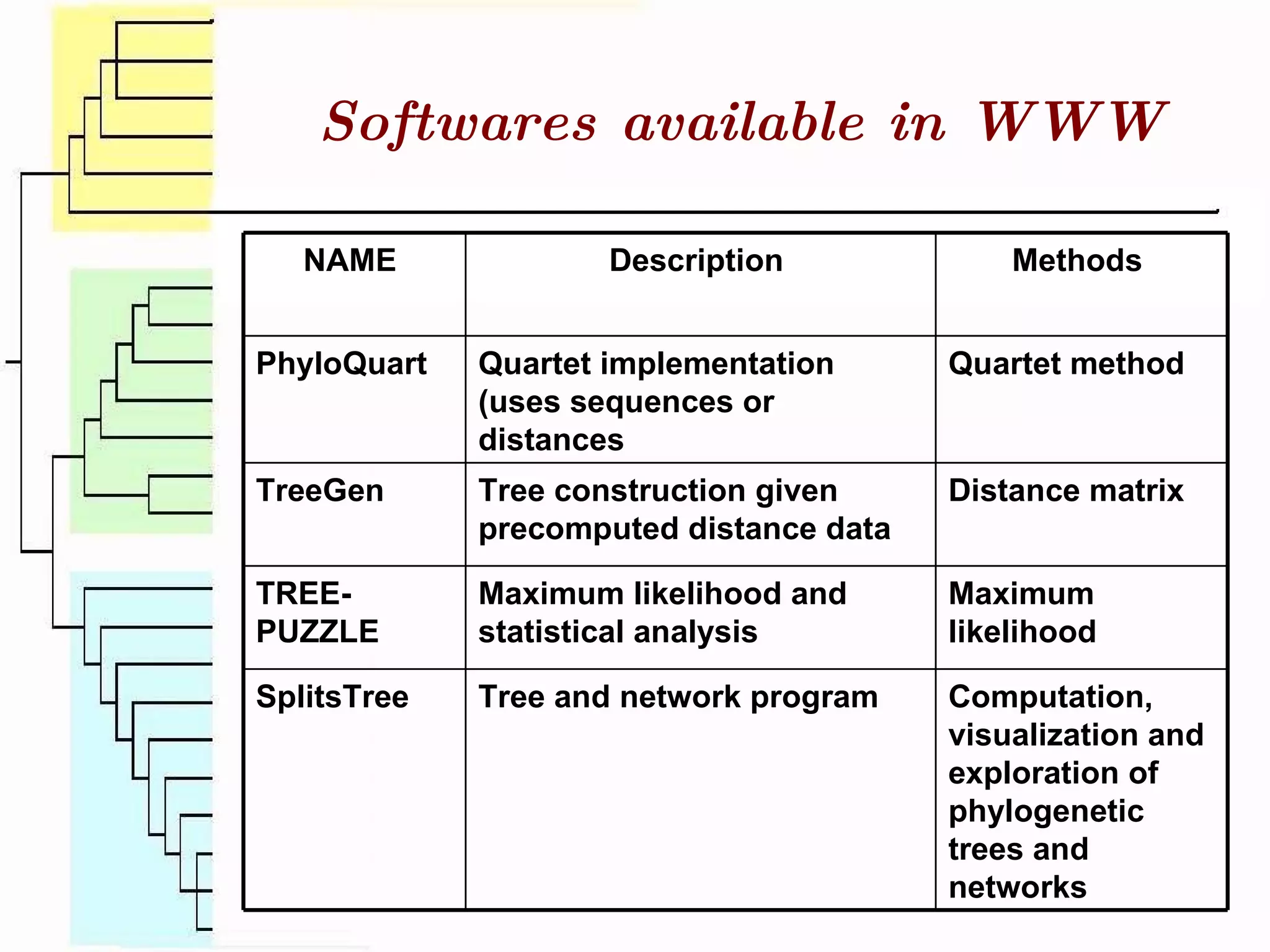 Softwares available in WWW NAME  Description  Methods  PhyloQuart  Quartet implementation (uses sequences or distances  Quartet method  TreeGen  Tree construction given precomputed distance data  Distance matrix  TREE-PUZZLE  Maximum likelihood and statistical analysis  Maximum likelihood  SplitsTree  Tree and network program  Computation, visualization and exploration of phylogenetic trees and networks  