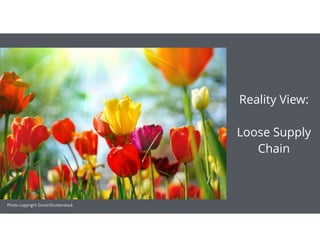 Reality View: 
 
Loose Supply
Chain
Photo copyright Gniot/Shutterstock
 