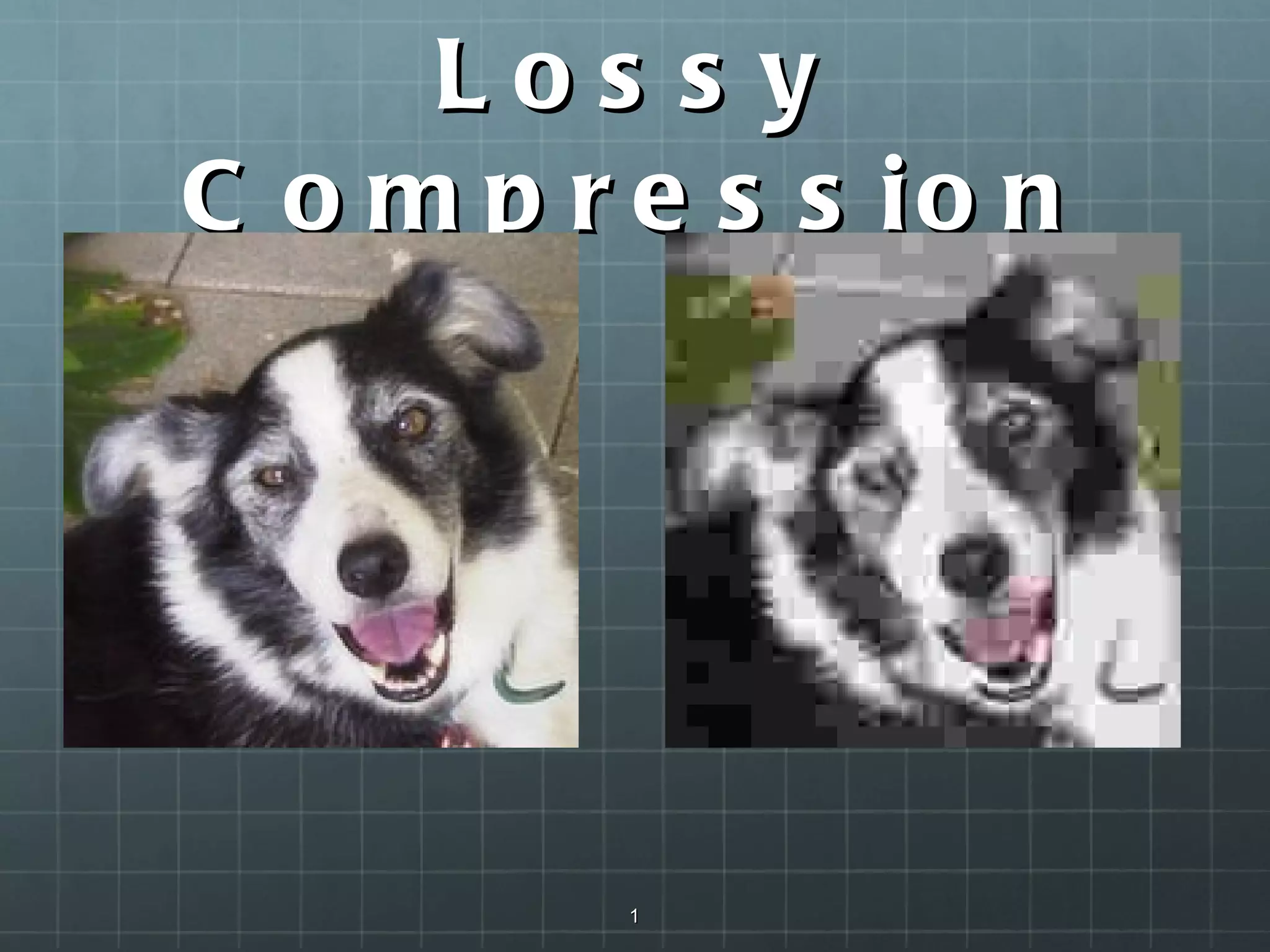 Lossy Compression 