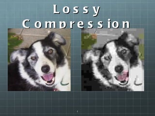 Lossy Compression 