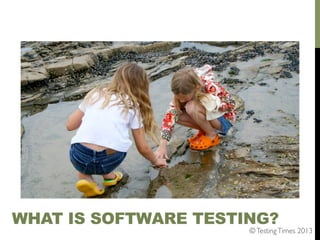 WHAT IS SOFTWARE TESTING?

© Testing Times 2013	


 