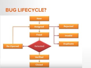 BUG LIFECYCLE?
 